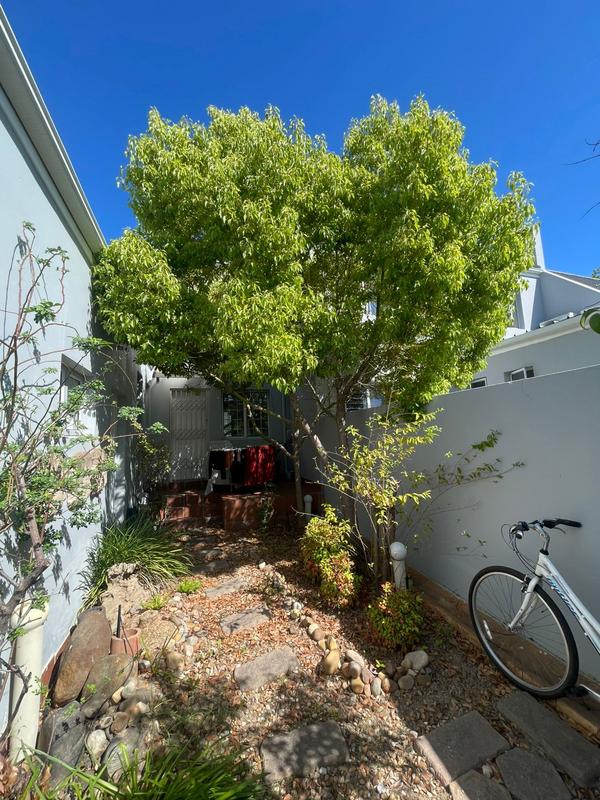 To Let 3 Bedroom Property for Rent in Simonswyk Western Cape